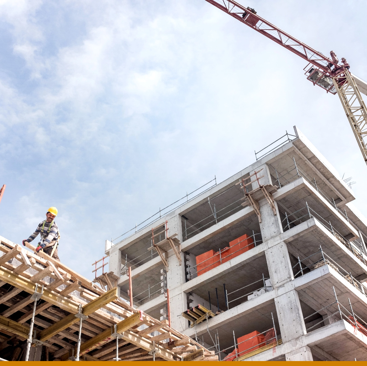 BCP Vision Berkley Construction Professional Vision